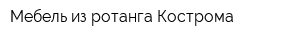 Мебель из ротанга Кострома
