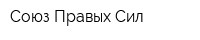 Союз Правых Сил