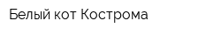 Белый кот Кострома