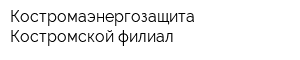 Костромаэнергозащита Костромской филиал