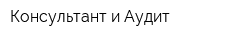 Консультант и Аудит