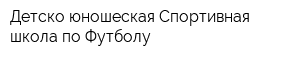 Детско-юношеская Спортивная школа по Футболу