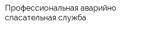 Профессиональная аварийно-спасательная служба