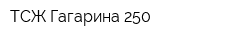 ТСЖ Гагарина-250