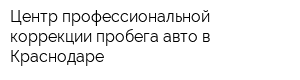 Центр профессиональной коррекции пробега авто в Краснодаре
