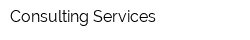 Consulting Services