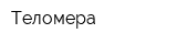 Теломера