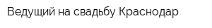 Ведущий на свадьбу Краснодар