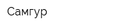 Самгур