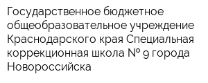 Государственное бюджетное общеобразовательное учреждение Краснодарского края Специальная коррекционная школа   9 города Новороссийска