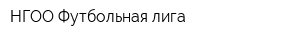 НГОО Футбольная лига