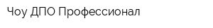 Чоу ДПО Профессионал