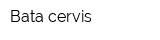 Bata-cervis