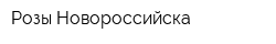 Розы Новороссийска