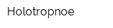 Holotropnoe