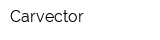 Carvector