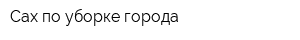 Сах по уборке города