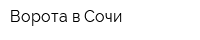 Ворота в Сочи
