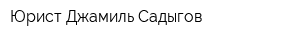 Юрист Джамиль Садыгов