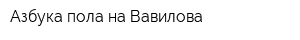 Азбука пола на Вавилова
