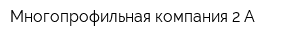 Многопрофильная компания 2-А