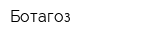 Ботагоз