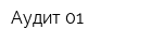 Аудит-01