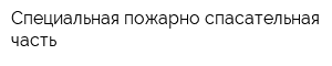 Специальная пожарно-спасательная часть