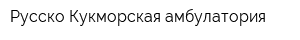 Русско-Кукморская амбулатория