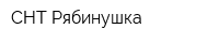 СНТ Рябинушка