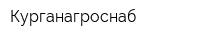 Курганагроснаб