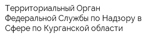 Территориальный Орган Федеральной Службы по Надзору в Сфере по Курганской области