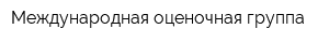Международная оценочная группа