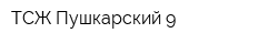 ТСЖ Пушкарский 9