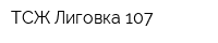 ТСЖ Лиговка-107