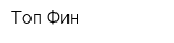 Топ Фин