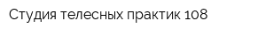 Студия телесных практик 108