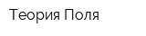 Теория Поля