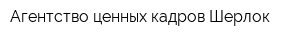 Агентство ценных кадров Шерлок