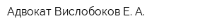 Адвокат Вислобоков Е А