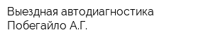 Выездная автодиагностика Побегайло АГ
