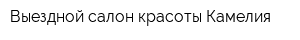 Выездной салон красоты Камелия