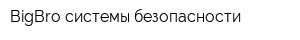 BigBro системы безопасности
