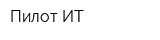 Пилот-ИТ