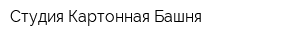 Студия Картонная Башня