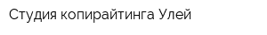 Студия копирайтинга Улей