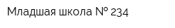 Младшая школа   234