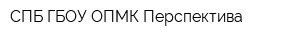 СПБ ГБОУ ОПМК Перспектива