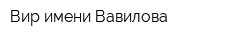 Вир имени Вавилова