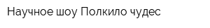Научное шоу Полкило чудес
